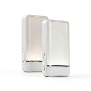 Dawnrise Motion Sensor Night Light Auto On Off Two Colors-0