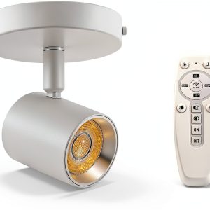 TuyuBEE Ceiling Spotlight Color Changing Dimming Remote-0